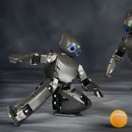 爱踢足球的智能微型机器人